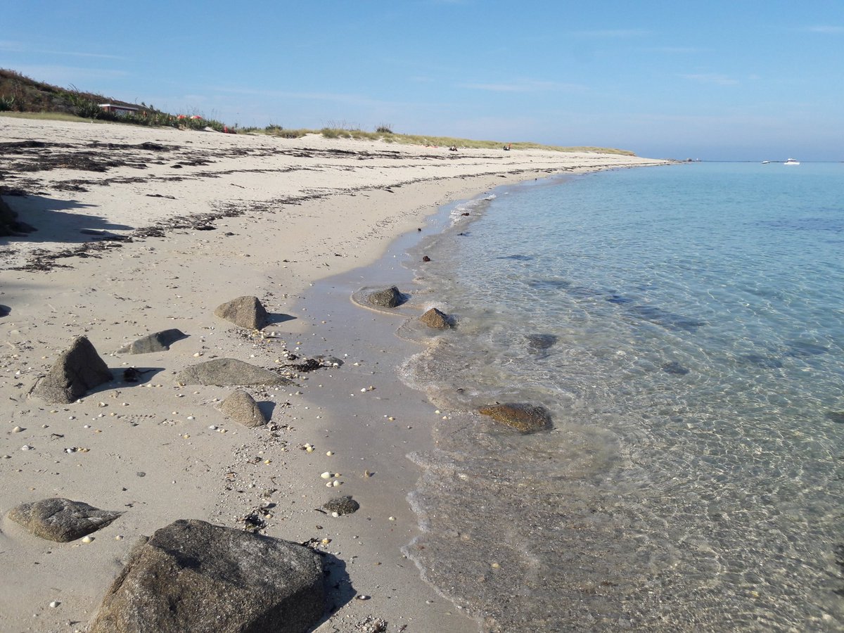 I took this photo of Shell Beach, Herm four years ago today. ☀️😎⛱️🌊