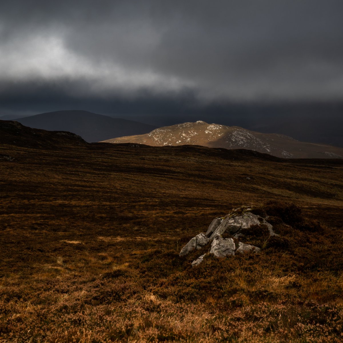 Last bit of light before the rain rolled through.