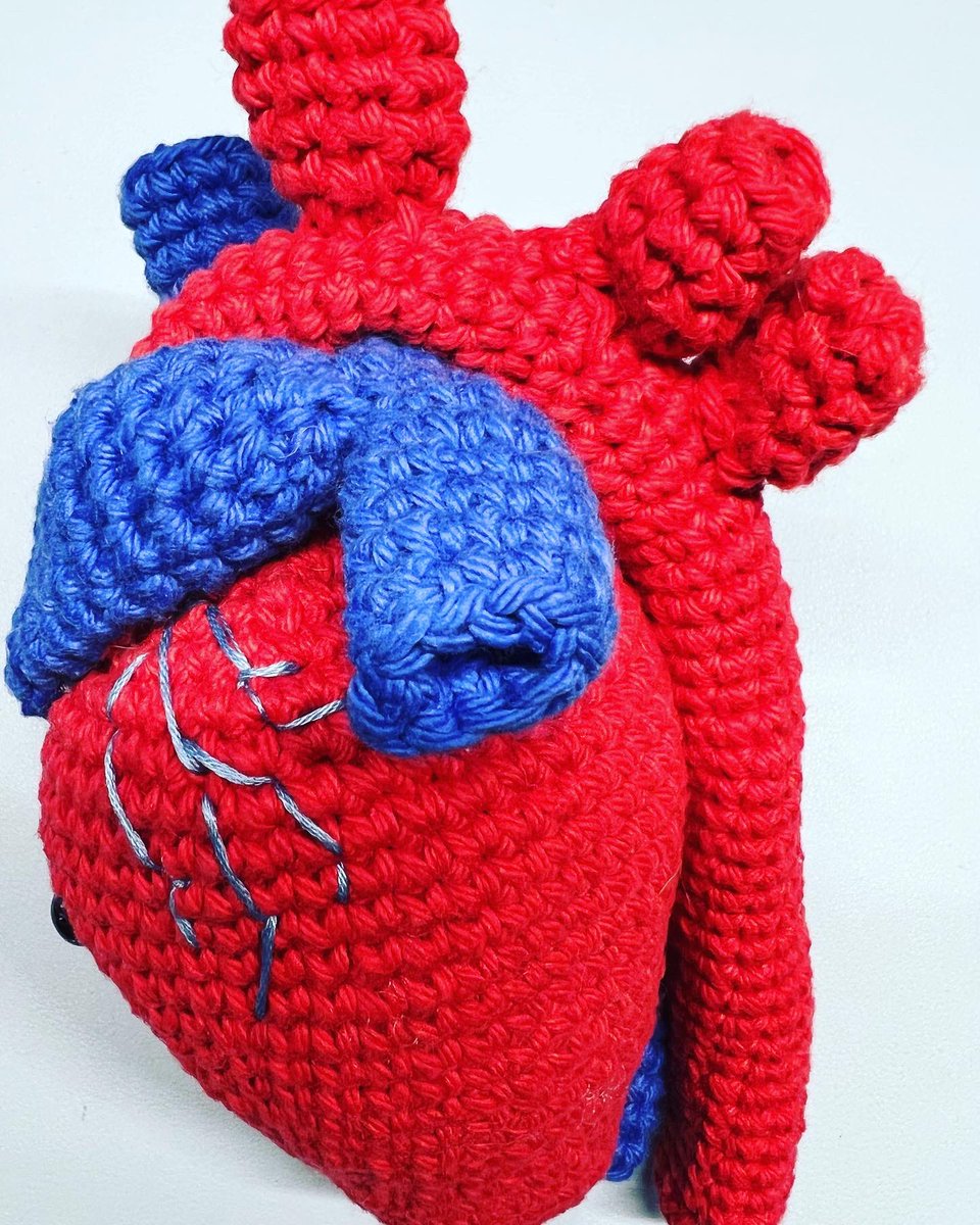 DanceAndDogs's tweet photo. Here’s some of my recent projects. I’ve only a couple more planned. So… I can probably start thinking about another commission or two! @CelestialMedCreations #medschoolcrochet #celestialcreations #sciencecrochet #anatomycrochet https://t.co/muTX6JuQv1