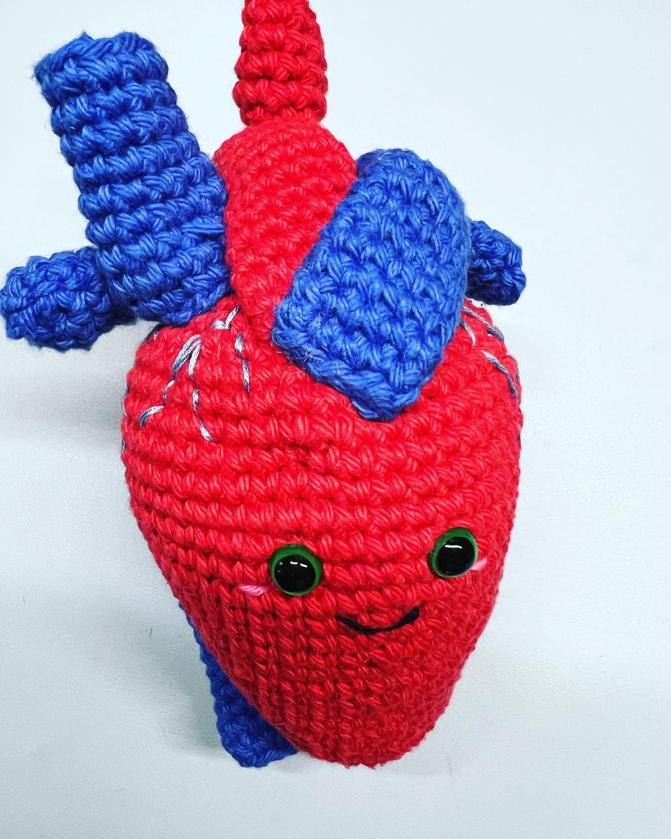 DanceAndDogs's tweet photo. Here’s some of my recent projects. I’ve only a couple more planned. So… I can probably start thinking about another commission or two! @CelestialMedCreations #medschoolcrochet #celestialcreations #sciencecrochet #anatomycrochet https://t.co/muTX6JuQv1