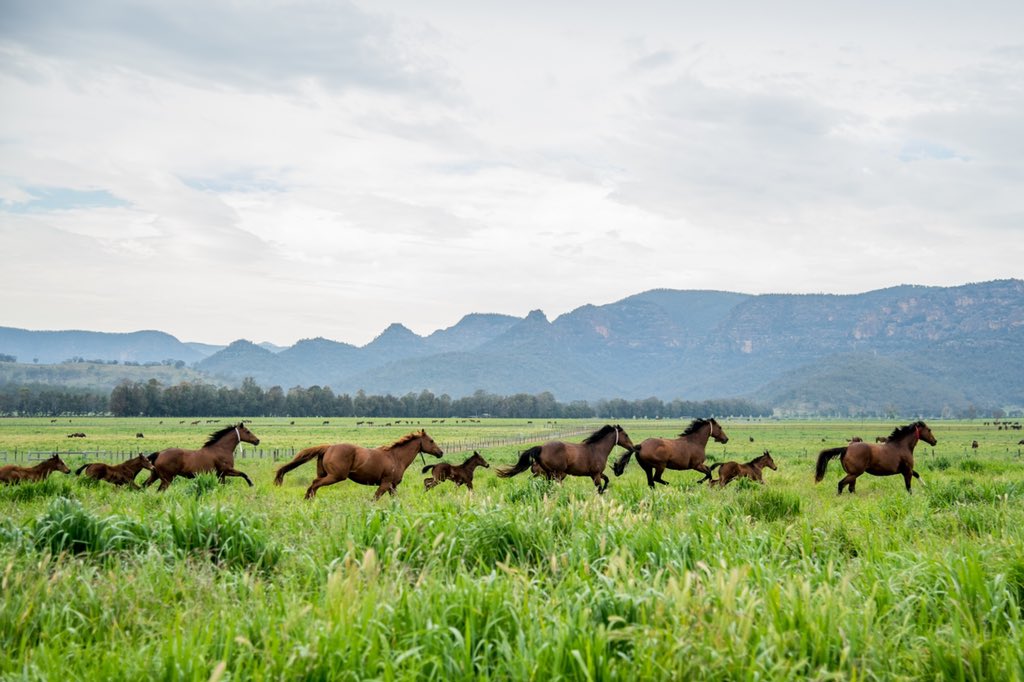 widdenstud's tweet photo. #widdenwednesday Rainy days in the #valleyofchampions ⛅️🌧 https://t.co/6LMd3QNNHN