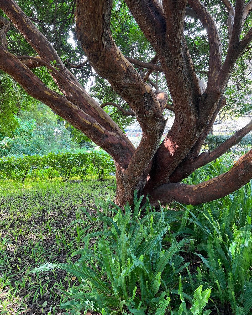 Cameron Tasker tweet media