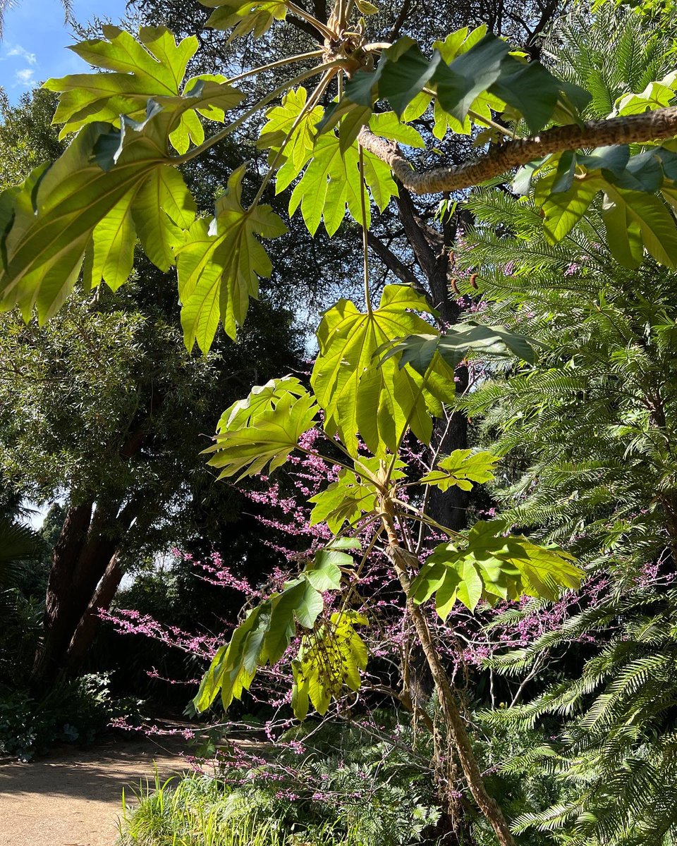 Cameron Tasker tweet media