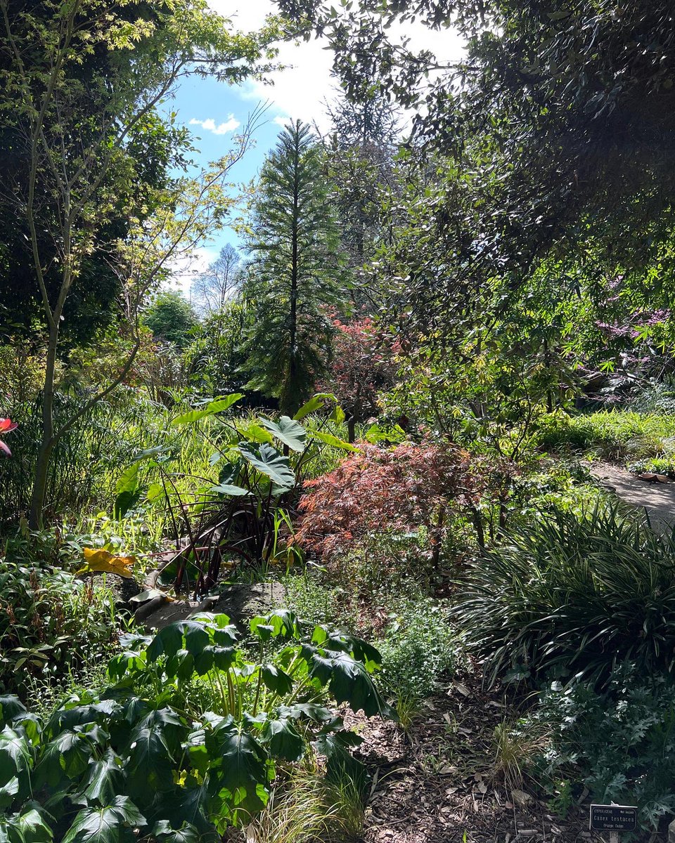 Cameron Tasker tweet media