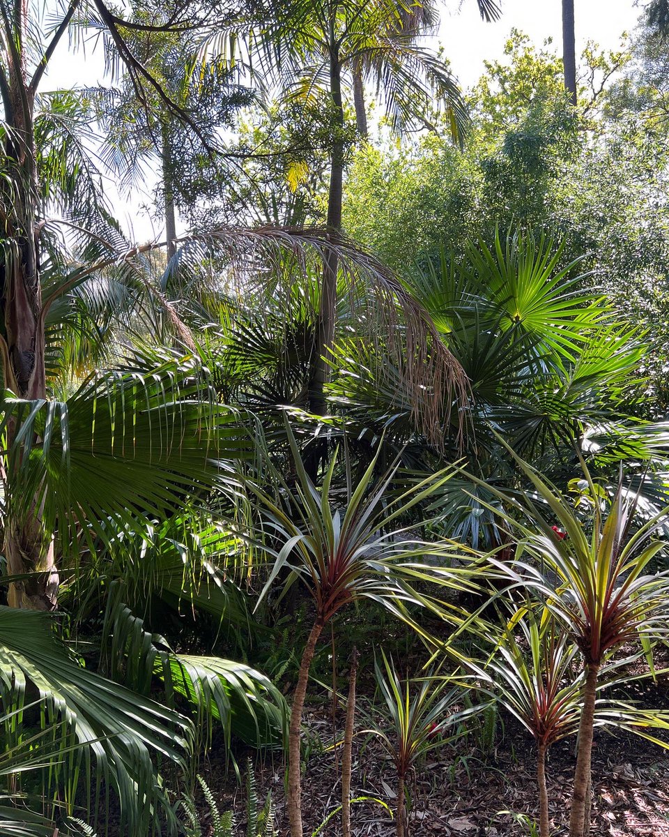 Cameron Tasker tweet media