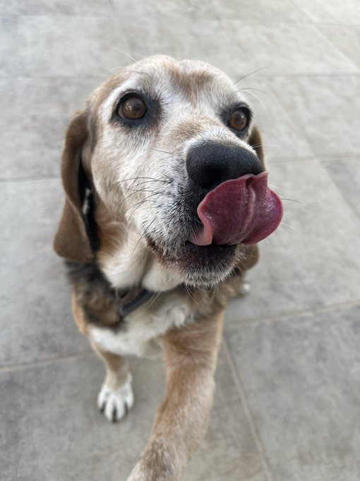 Look at this little stud https://t.co/7Zo1EfwLpx