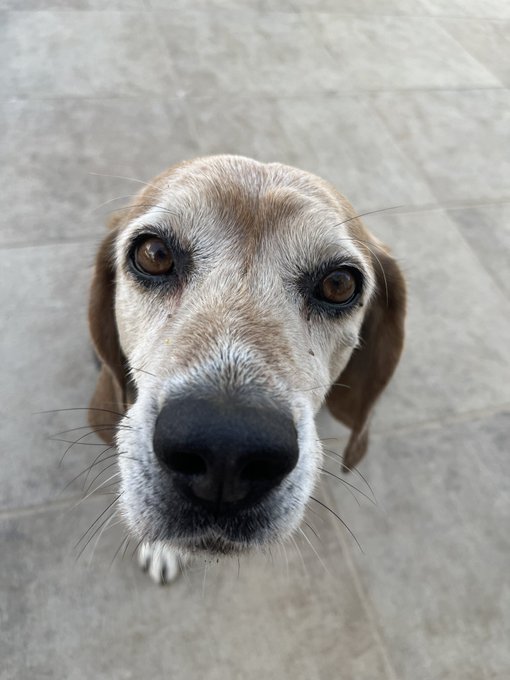 Look at this little stud https://t.co/7Zo1EfwLpx