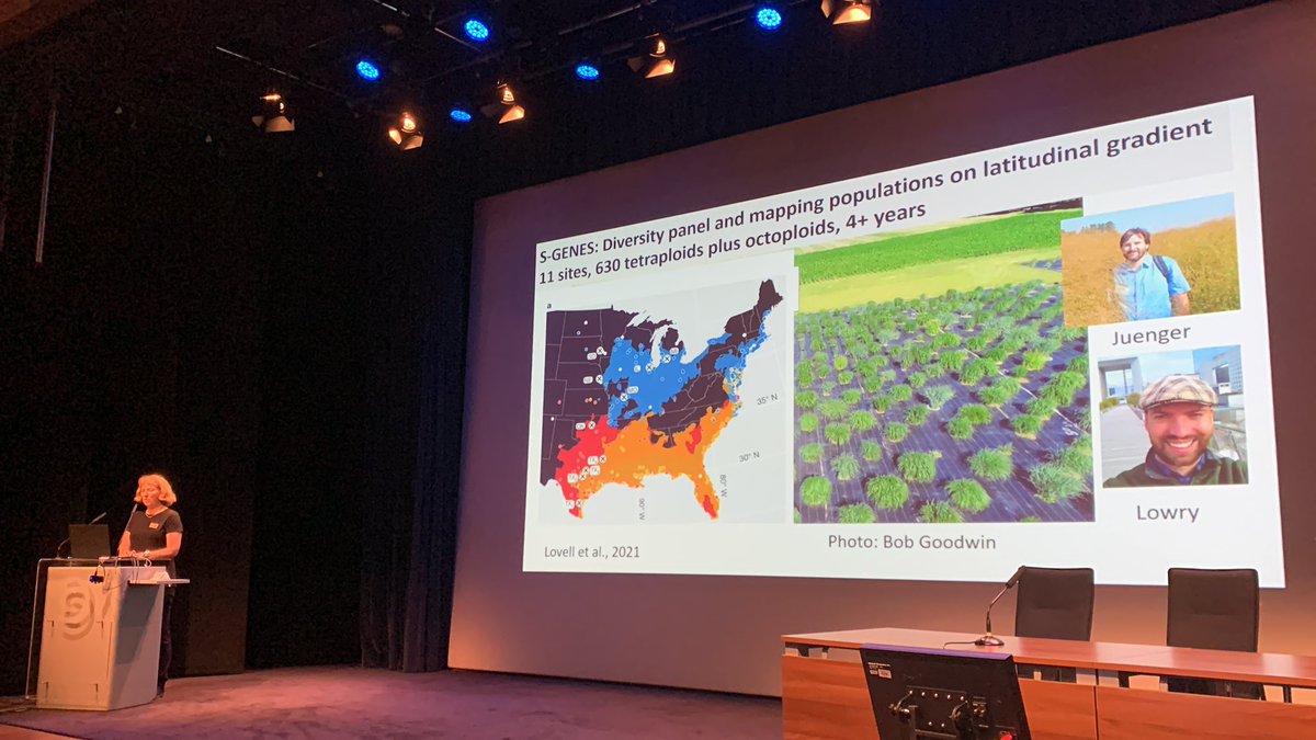 AABiologists's tweet photo. #IAPV22 is kicked off by Carolyn Malmstrom @cmalmstrom14 who is discussing the ecological aspects of switchgrass mosaic virus https://t.co/DBYaCrbQ6g