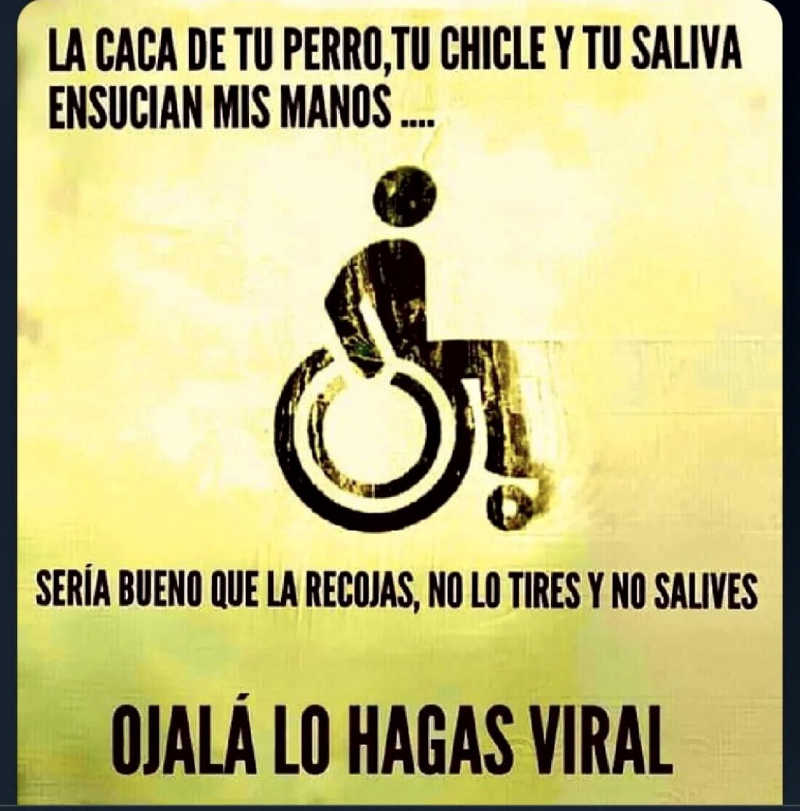 Nada más que añadir señoría…..