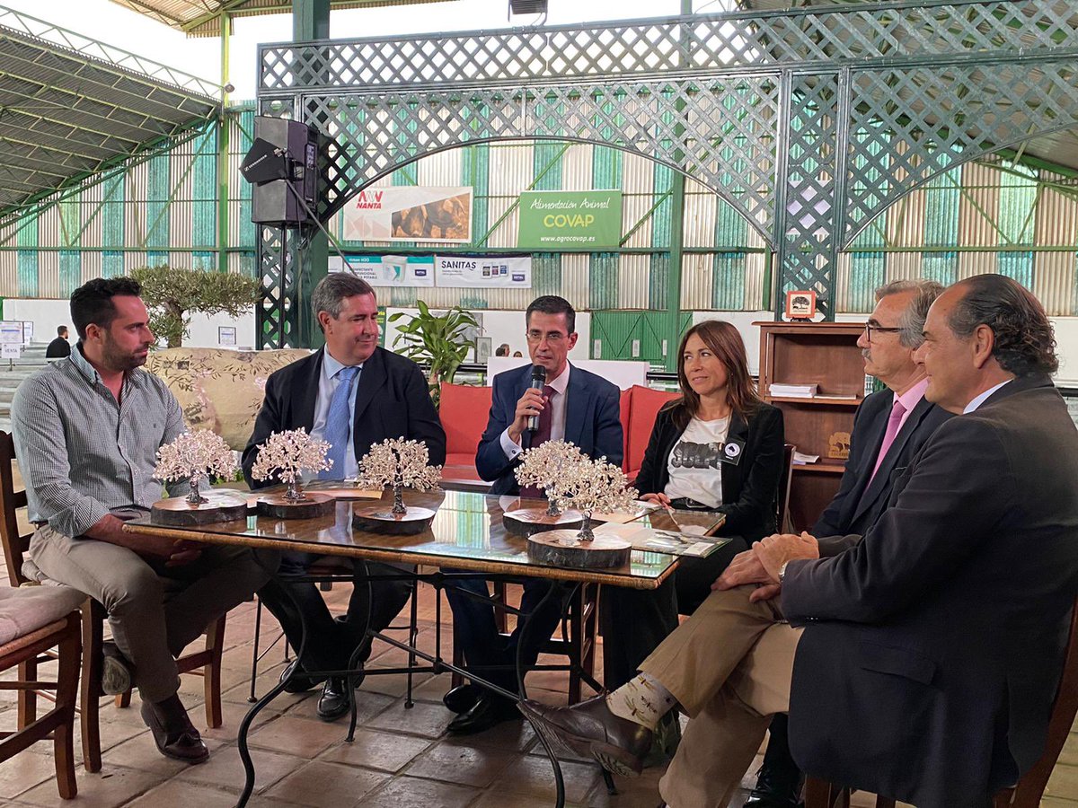 luciamaesso's tweet photo. Feria de Zafra 2022 https://t.co/GcyaeZ426B