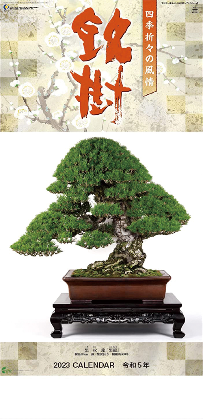 現代盆栽技術の真髄 PART II 盆栽 植物 木村 正彦 g10-1（現代盆栽技術