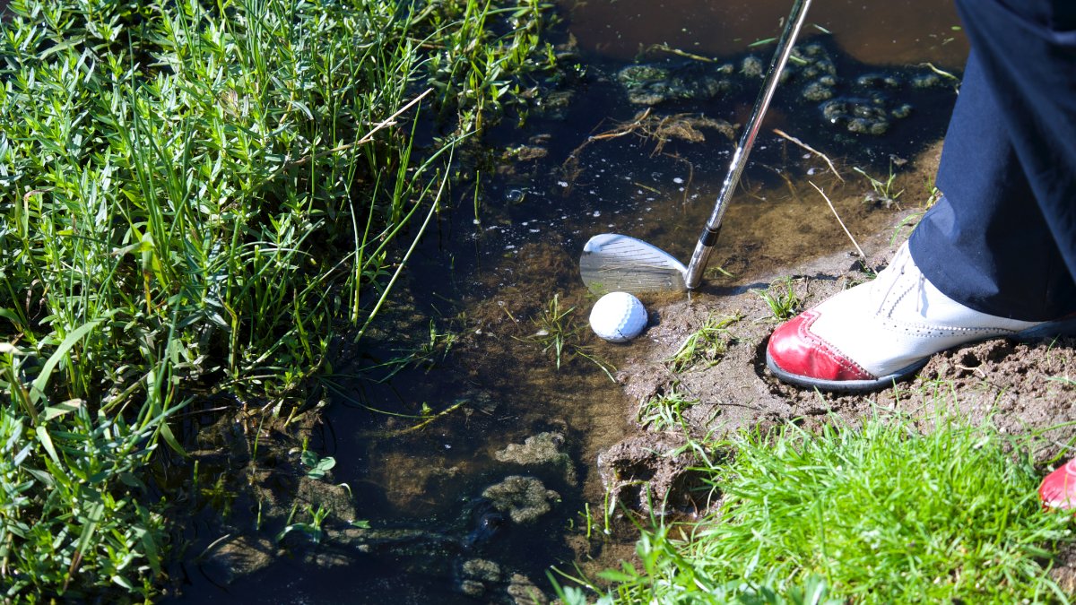 GreggRobertsPGA's tweet photo. Hit the like button if you’re playing the ball from this lie 🏌️

#RotherhamProShop https://t.co/zSpKScaeJW