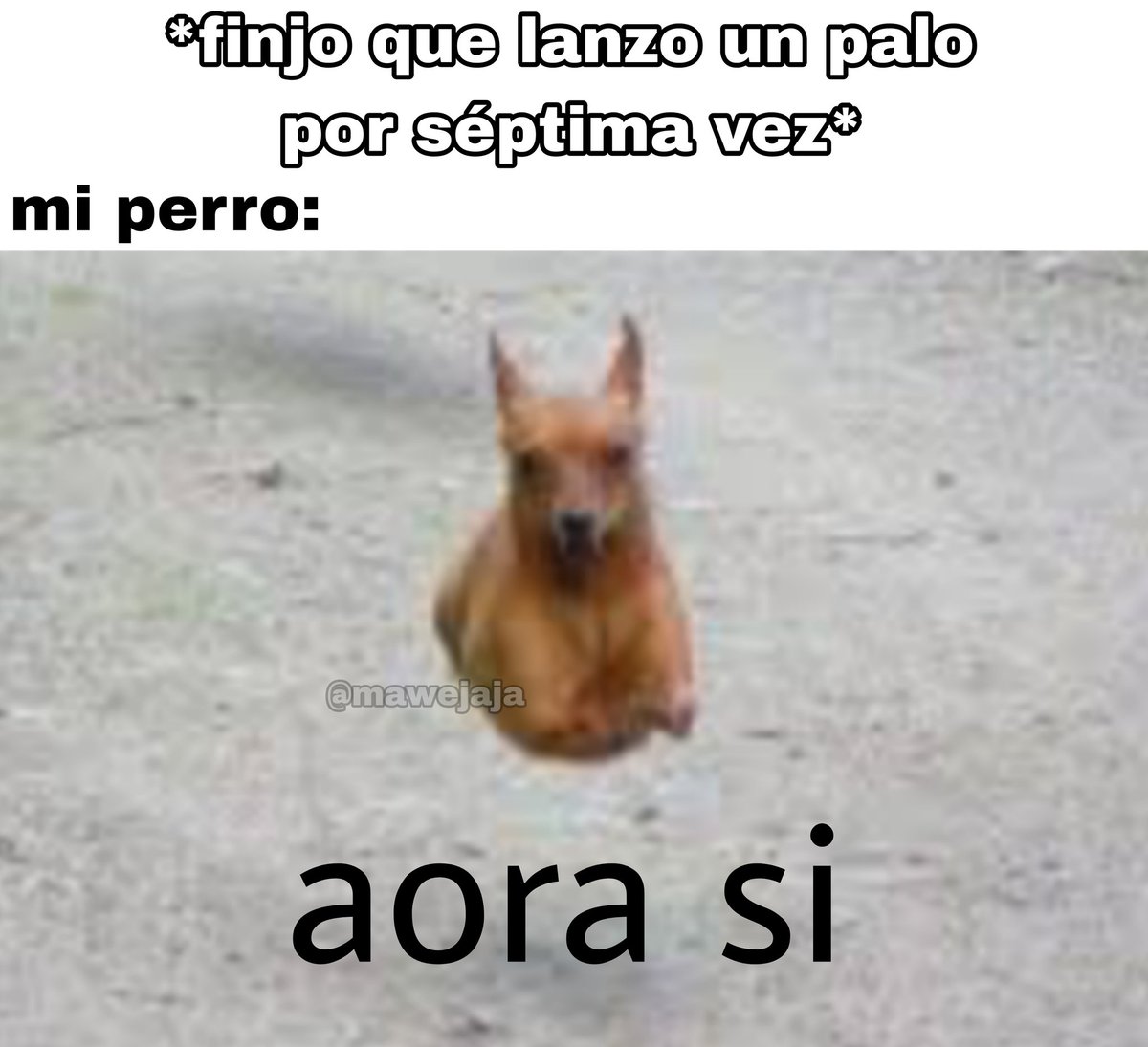 Cauquipotencia's tweet photo. https://t.co/tRqrIxJjz4