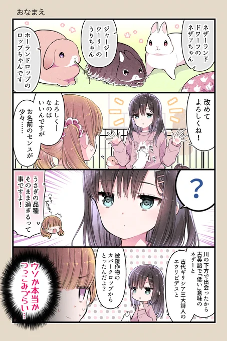 命名は気持ちと勢いを込めて🐰

#うさきょ #4コマ #うさぎ 