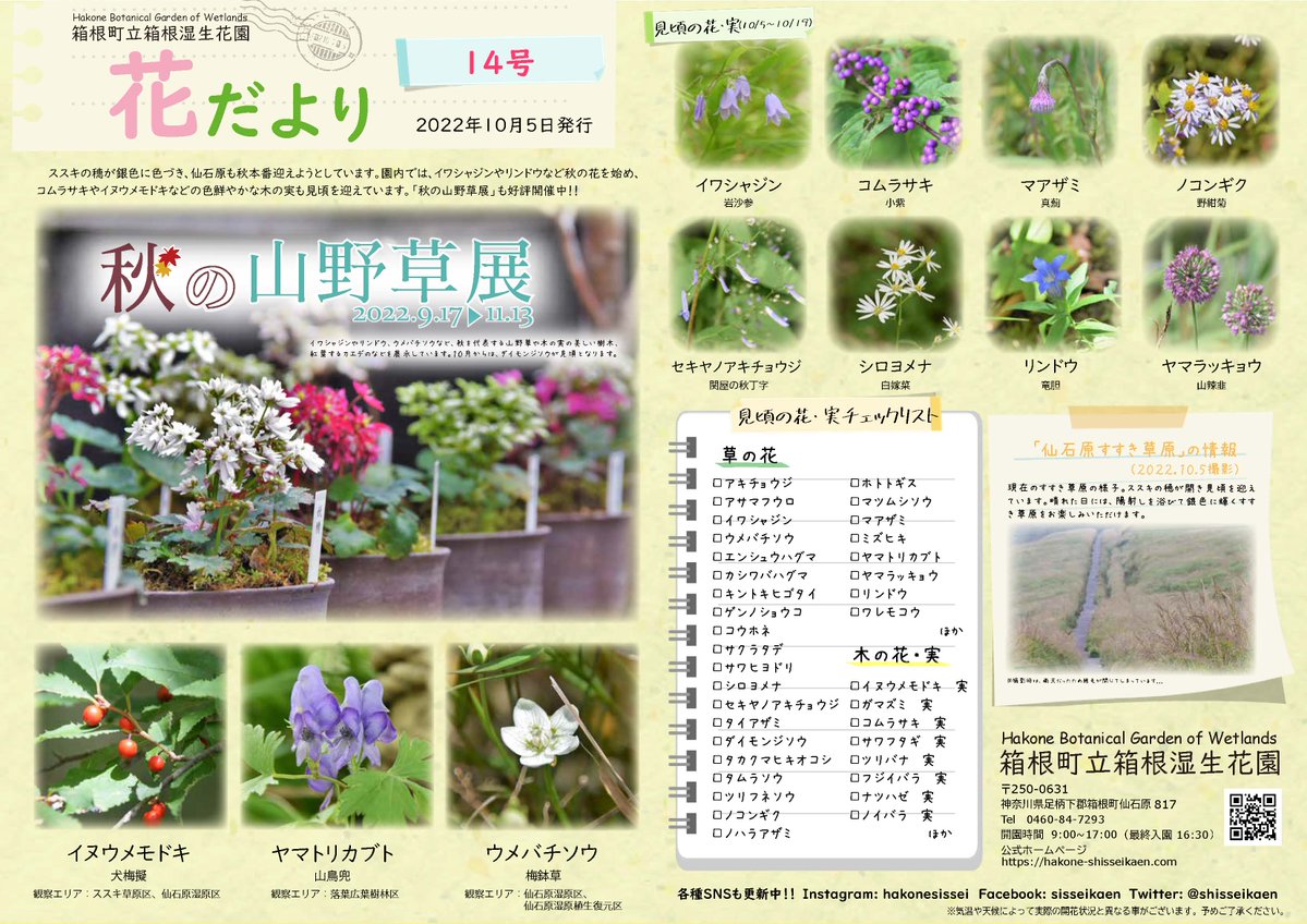 箱根湿生花園 on Twitter: "花だより14号を発行しました。#イワシャジン や #リンドウ など秋の花や木の実が見頃です。秋の山野草展も好評開催中です。#箱根 #仙石原 #箱根湿生