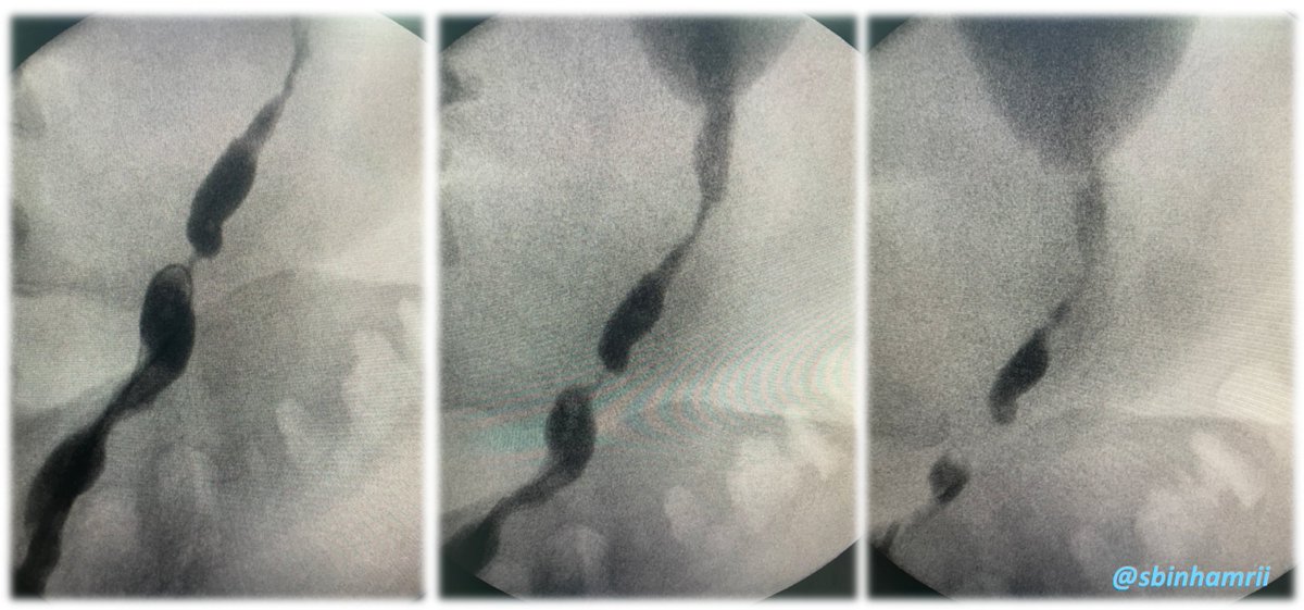 Saeed Bin Hamri tweet media