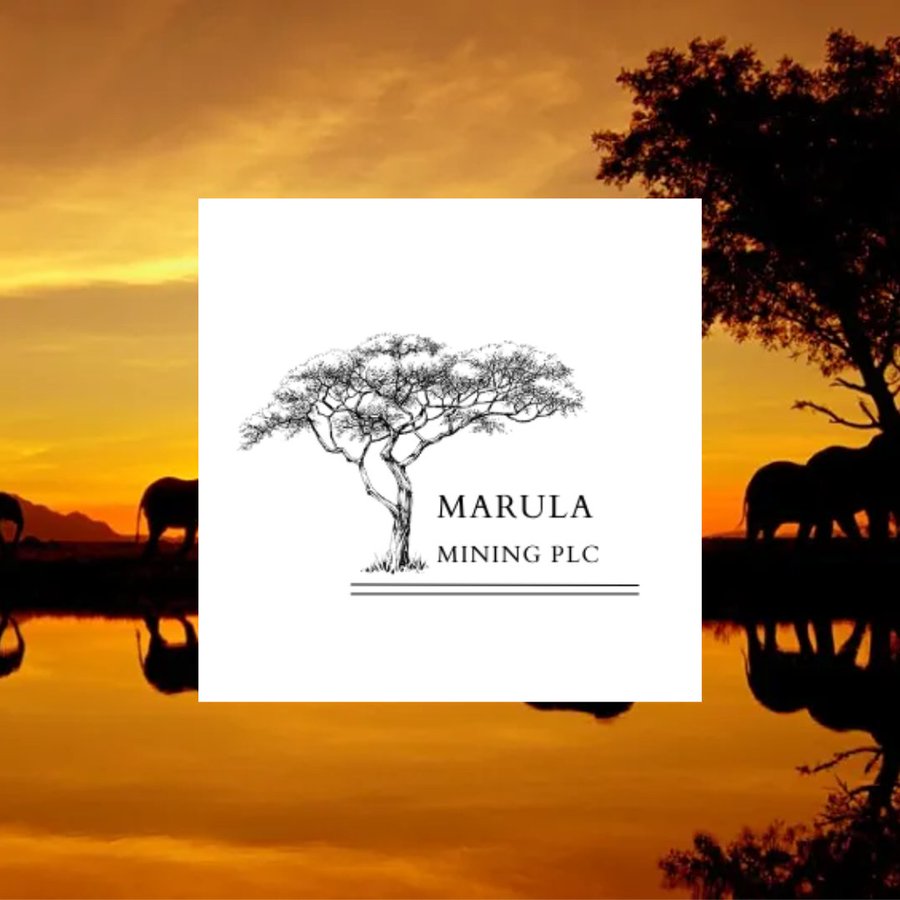 MarulaPlc's tweet photo. 🚨Shareholder Update🚨
#MARU is pleased to provide the public with an update on MARU's stock holdings and recent transactions.
See full update on the link below ⬇:
https://t.co/7xdSGWFJr3
#MarulaPlc #Lithium #southafrica #Shares #stocks https://t.co/0kT0rxOmcq