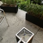 ツイートに含まれる画像