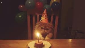 Mes_990's tweet photo. 🎂 🎁 🎉 It’s mmmmyyy birthdayyyy          تعالو نفقع البالونات سوا 🎈🎈 https://t.co/VLKxiXhI15