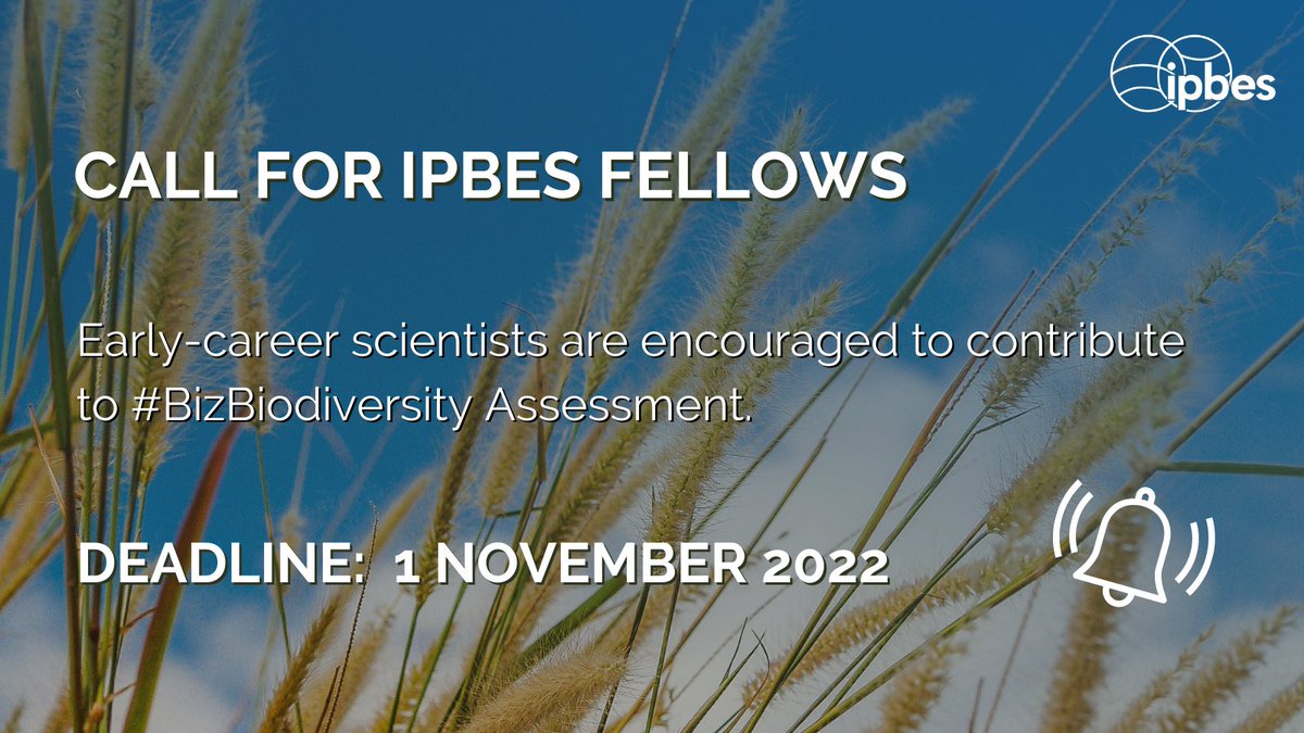 📢Call for @ipbes Fellows to contribute to: 💡#BizBiodiversity assessment of impact & dependence of business on biodiversity and nature’s contributions to people: ipbes.net/application/bu… 📅⏰Apply by 1 November! More about the Fellowship programme: ipbes.net/ipbes-fellowsh…