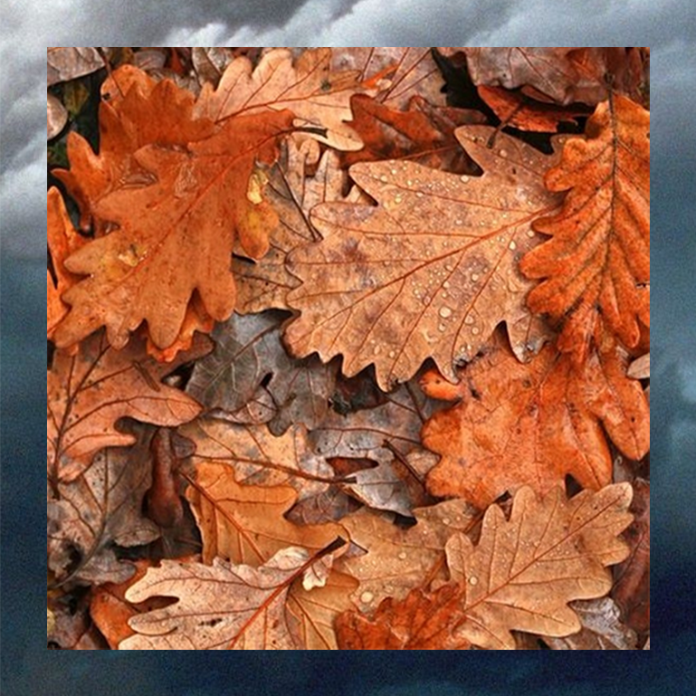 ModaCeramics's tweet photo. Chilly mornings and autumn colours bring to mind the beautifully understated, warm and calming Krea collection - stunning, right?!
To find out if Krea could be part of your next project, head over here: https://t.co/abnkqqikQE
#architecture #ceramictiles #interiordesign #newbuild https://t.co/bwwhleeysm