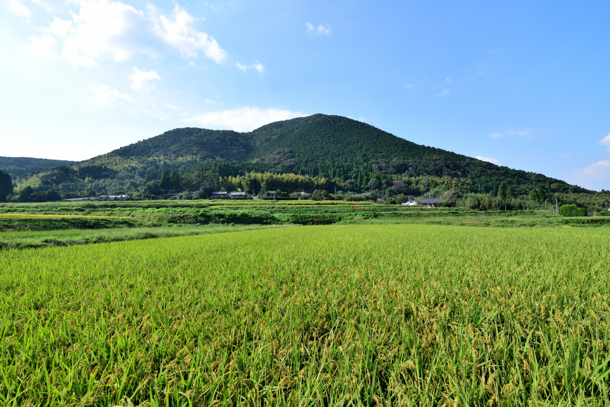 ふひとべのべ on Twitter