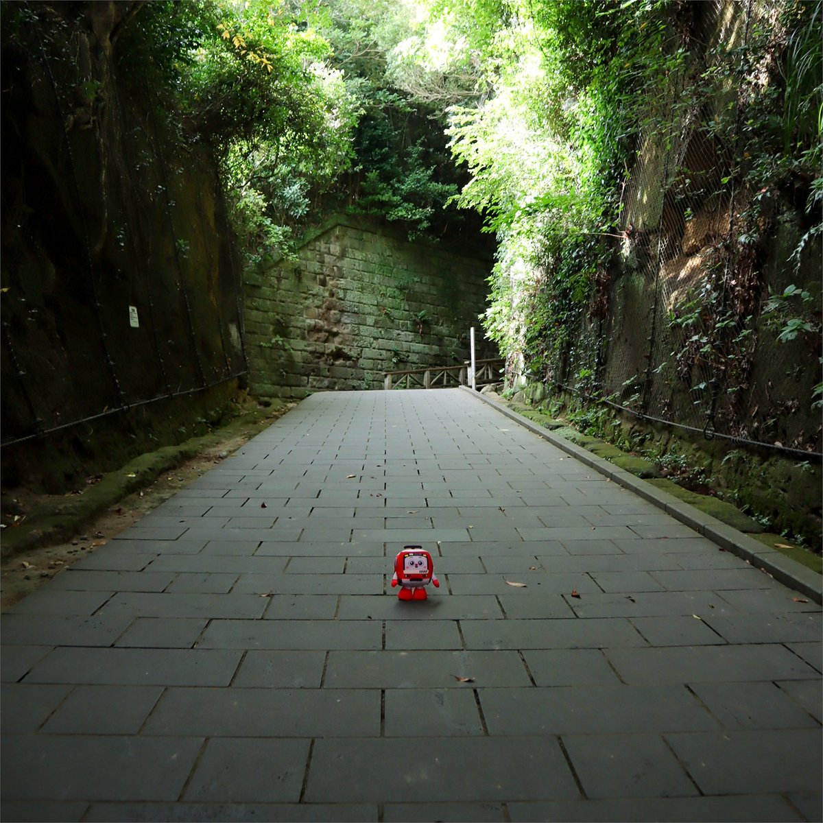 keikyunofficial's tweet photo. けいきゅん、東京湾唯一の無人島 #猿島 に行ってきたきゅん！レンガ積みのトンネルや緑の回廊がかっこよくて、たくさん写真撮っちゃった♡
ひろ～いボードデッキで海を見ながら食べる #よこすか海軍カレー も満喫♪
みんなも #よこすか満喫きっぷ で秋のおでかけを楽しんでみて！
#けいきゅん #京急 https://t.co/nTzH1uhfu2
