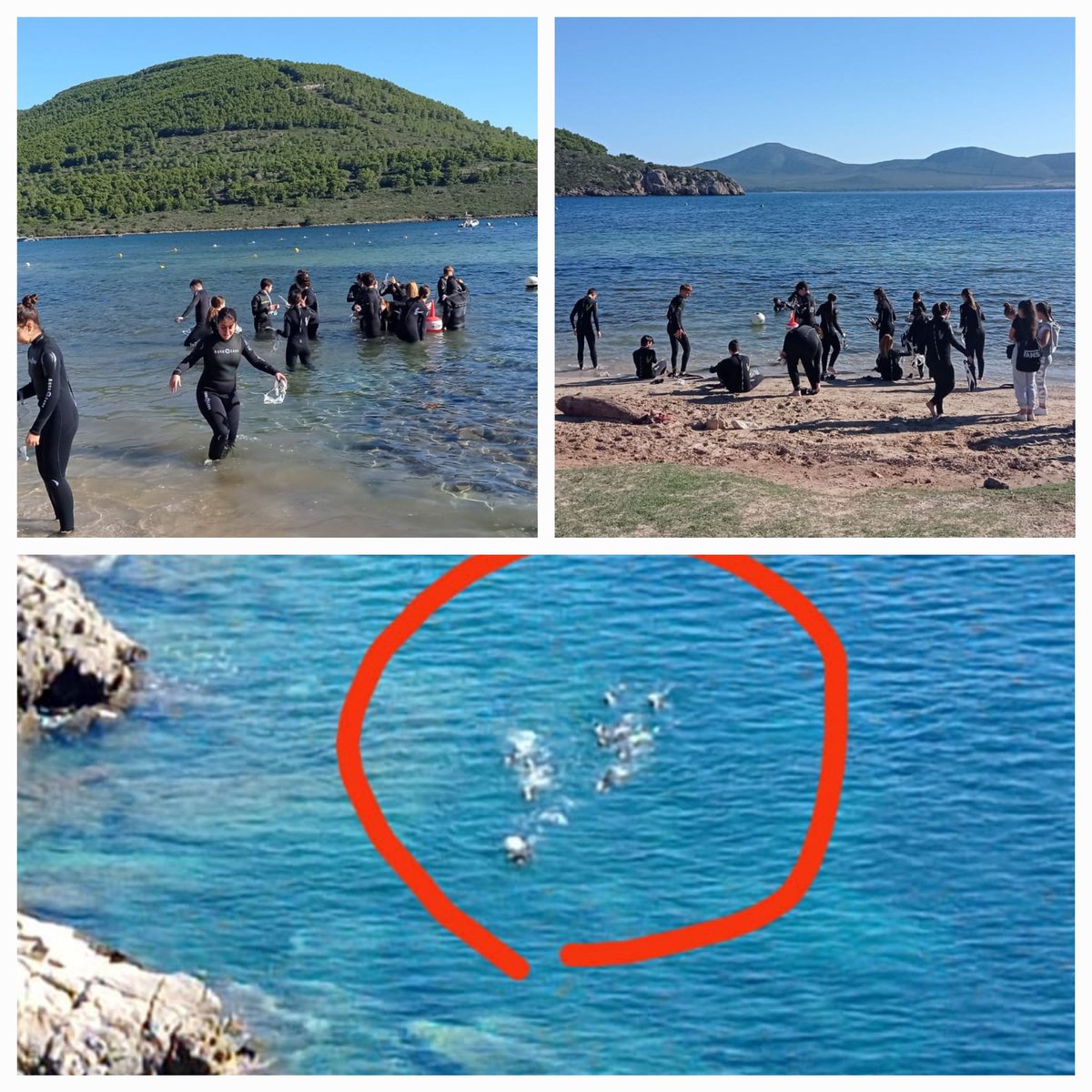 trttola58's tweet photo. Splendida giornata e splendida attività #snorkeling in collaborazione col #Parcodiportoconte le nostre allieve ed allievi finalmente liberi/e di vivere le lezioni di #Biologia marina ed #parcodiportoconte educazioneambientale. Occhio ai delfini dell' #IISEFermi https://t.co/MIrJSP7uvU