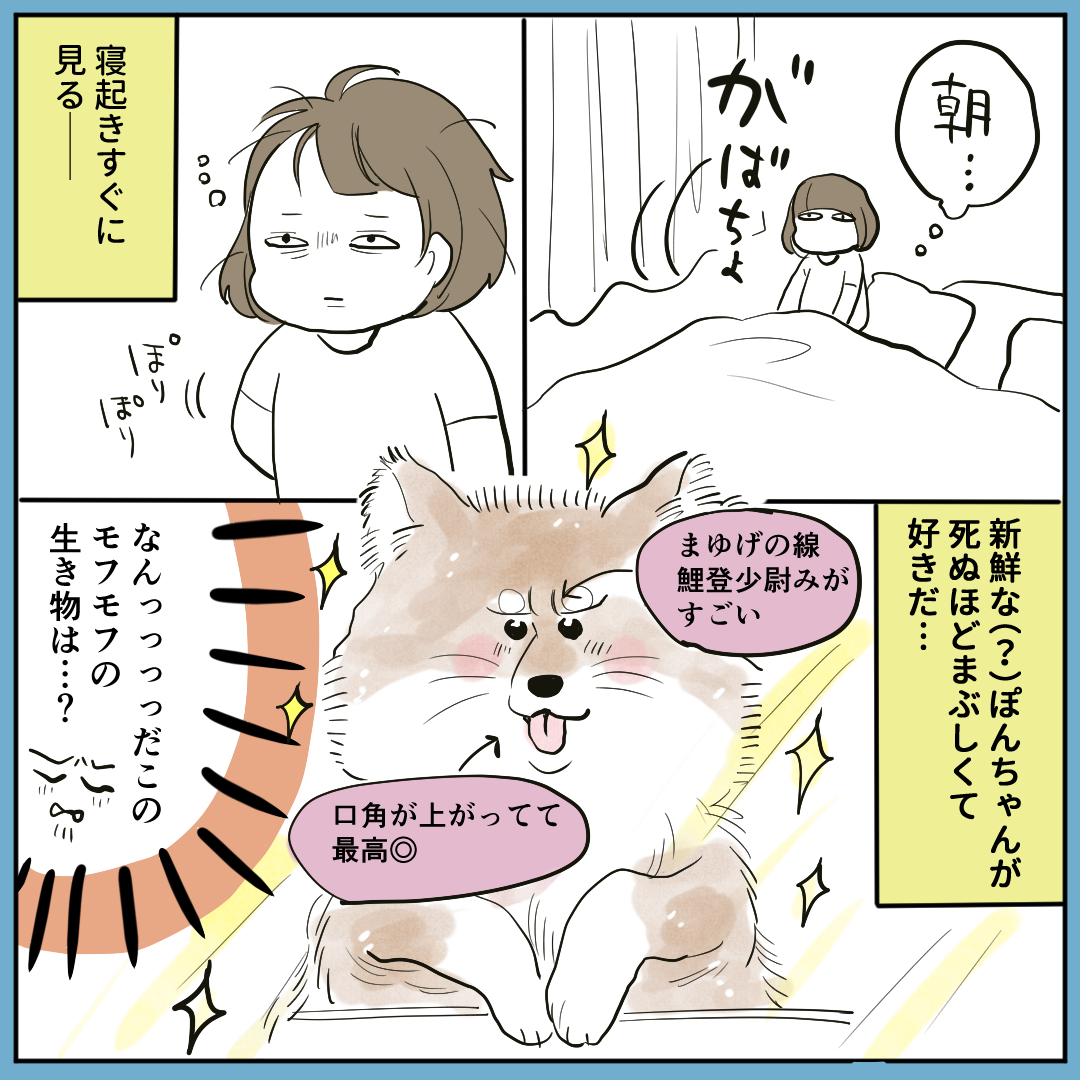 ～秋田犬にっき④～ 朝早く起き、日焼け止めを塗るようになりました。 