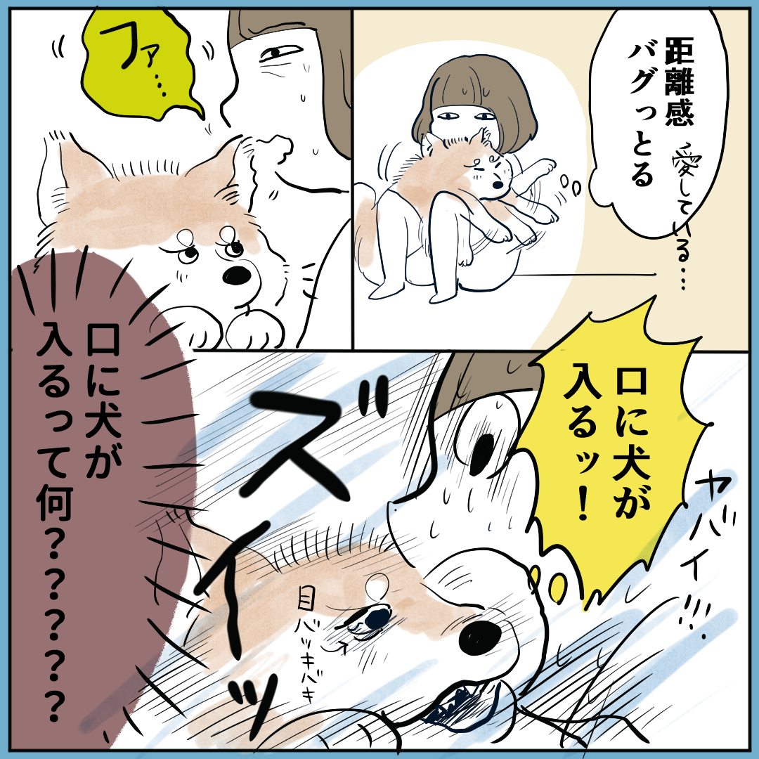 ～秋田犬にっき④～ 朝早く起き、日焼け止めを塗るようになりました。 