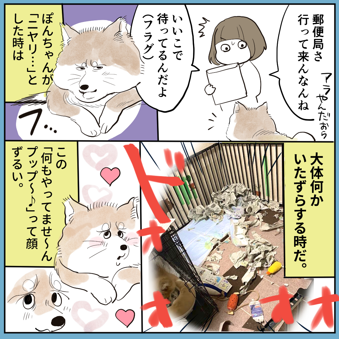 続き。お肉が大好き。 