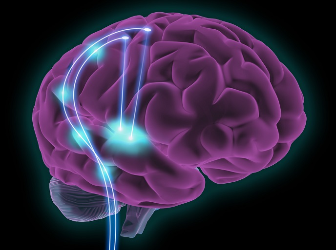 BrainComEU (@braincomeu) on Twitter photo The Braincom's Results in Brief Article "A speech brain-computer interface" has been published on the CORDIS website in six languages:
cordis.europa.eu/article/id/442…
<a href="/CORDIS_EU/">EU Research Results</a> <a href="/icn2nano/">Catalan Institute of Nanoscience & Nanotechnology</a> The Braincom's Results in Brief Article "A speech brain-computer interface" has been published on the CORDIS website in six languages:
cordis.europa.eu/article/id/442…
<a href="/CORDIS_EU/">EU Research Results</a> <a href="/icn2nano/">Catalan Institute of Nanoscience & Nanotechnology</a>