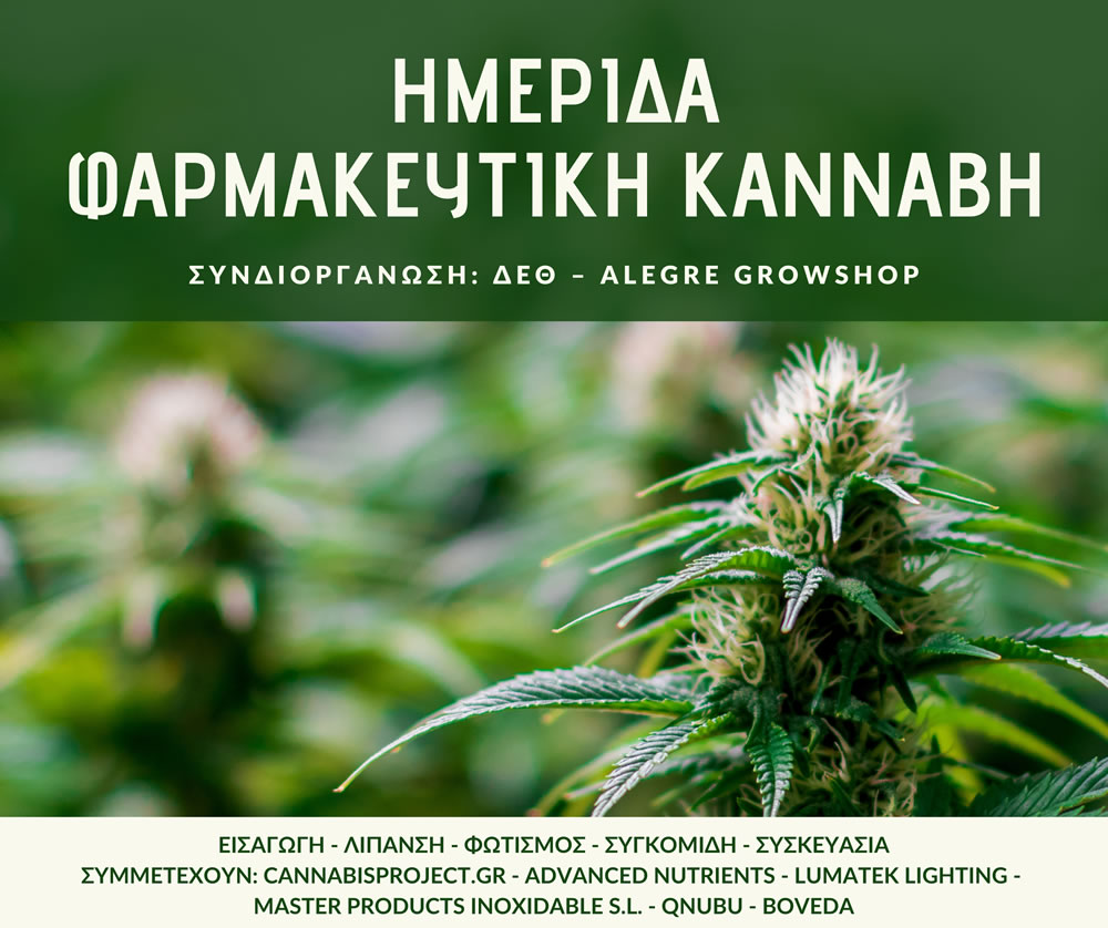 cannabis news tweet media