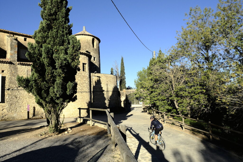 Ajuntament del Pla del Penedès tweet media