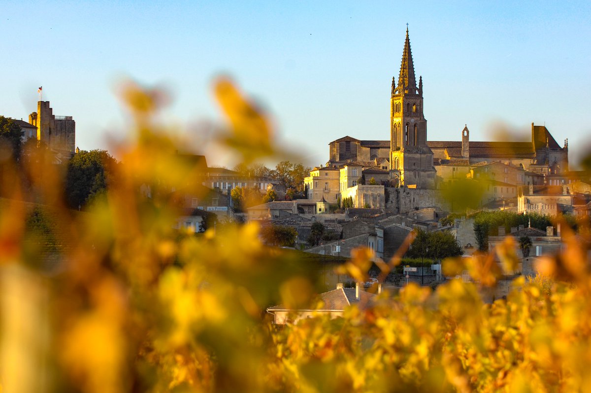 winepaths's tweet photo. Autumn in Saint Emilion, leaves are turning gold 🍂
Visit now: https://t.co/zRQuZ3IT6W

#saintemilion #wine #france #winetourism #winetour #vineyard https://t.co/Wj7ENrUlAA