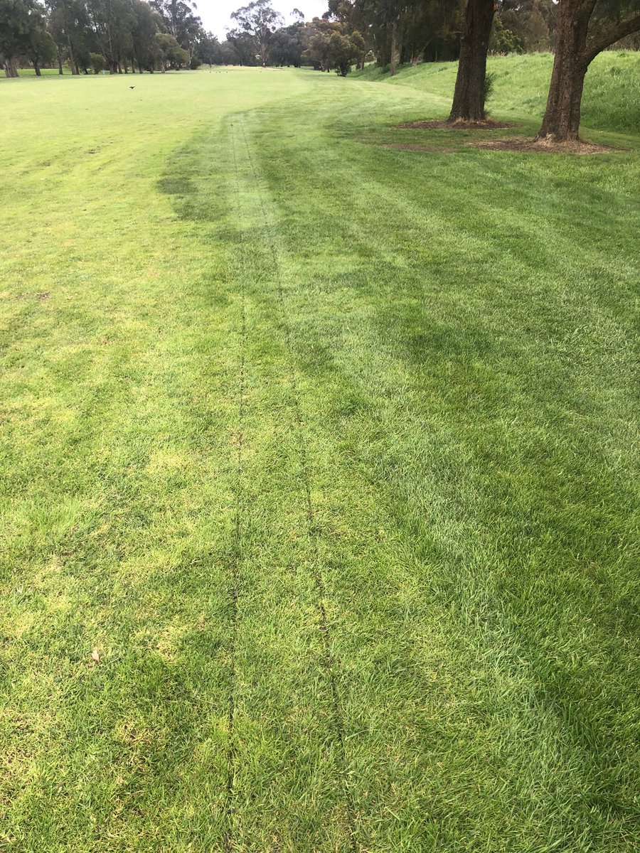 TurfAir's tweet photo. Dropped of the @ImantsBV #Rootpruner to #RowvilleLakesGolfCourse so @benhartley411 can implement some “Tree Management” maintenance. https://t.co/BiqhLIKp6D