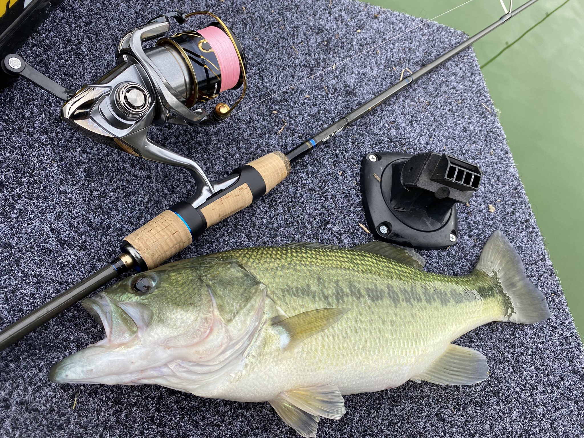 サカナ 隙あらばバス釣り Bass Sakana Twitter