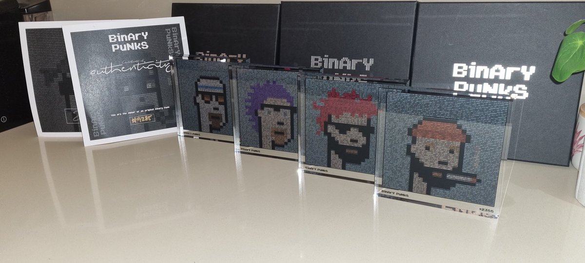 JRav28's tweet photo. Just received and unboxed my @Binary_Punks physical pieces. I can not believe how amazing these are!! The time and care gone into these is mind blowing. Thank you 🙌#binarypunks #NFTs #FTM https://t.co/3mC7BsB1Ve