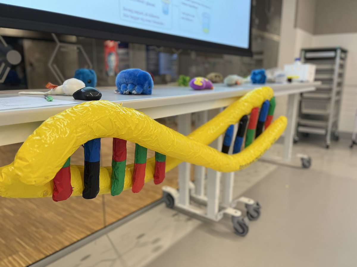 LIFEFonden's tweet photo. Også @AcademyBiotech underviser på livet løs til #GirlsDayinScience! I deres laboratorier handler det om “den grønne revolution” 🌱👩🔬 https://t.co/bPjooaEST1