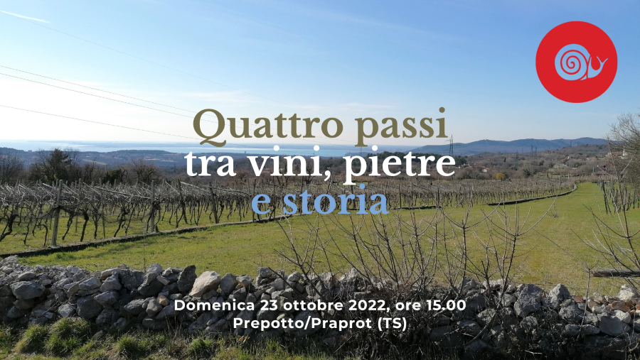 Slow Food Trieste tweet media