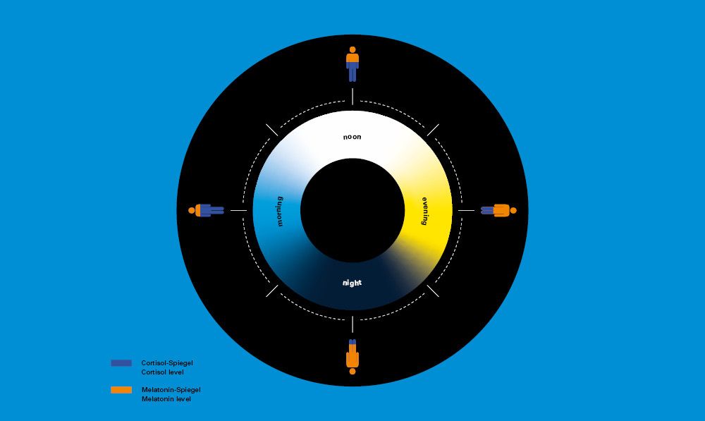 Der Mensch gehört eigentlich nach draußen. Leider arbeitet er drinnen. Das können wir nicht ändern. Was wir allerdings ändern können, ist die Beleuchtung.

Erfahren Sie mehr über unsere gesunden Lichtlösungen auf der 𝗢𝗿𝗴𝗮𝘁𝗲𝗰 𝟮𝟬𝟮𝟮:

waldmann.com/home/ueber-uns…

#shinealight