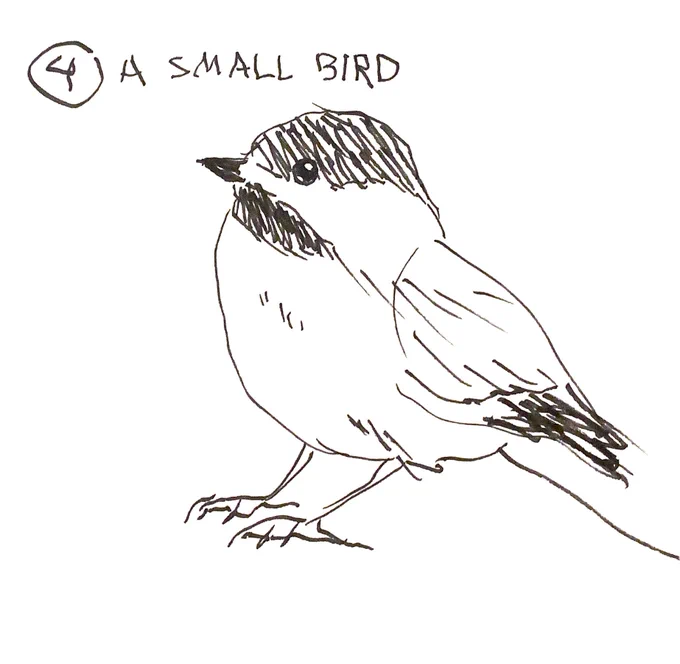 day four :) chickadee dee dee 