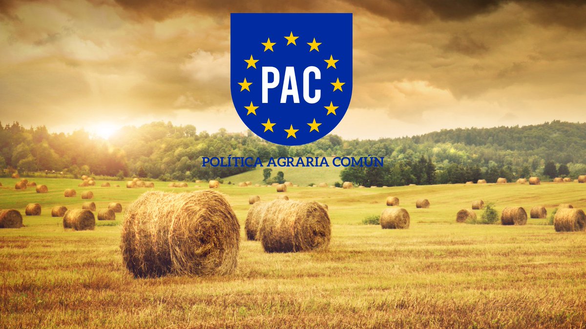 🔴IMPORTANTE #ÚltimaHora Publicada la información sobre las regiones de pago para la ayuda básica a la renta de la nueva 🇪🇺🇪🇸#PAC
➡️bit.ly/3VePcz0