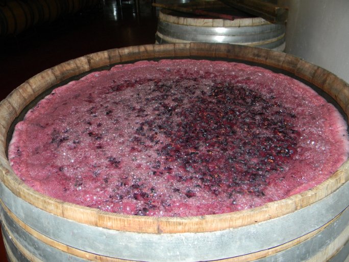 ¡¡ CALIDAD GARANTIZADA !! 💯😊

#Vendimia2022