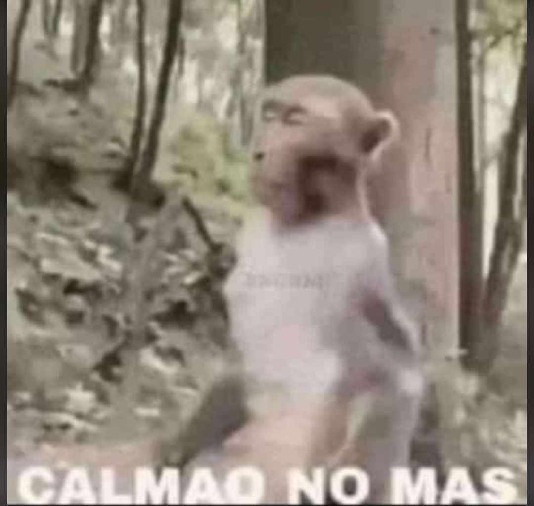 Daniela62820778's tweet photo. Los que no se levantaron tras el temblor de  6.1 en Piura: https://t.co/3g30iuRHO2