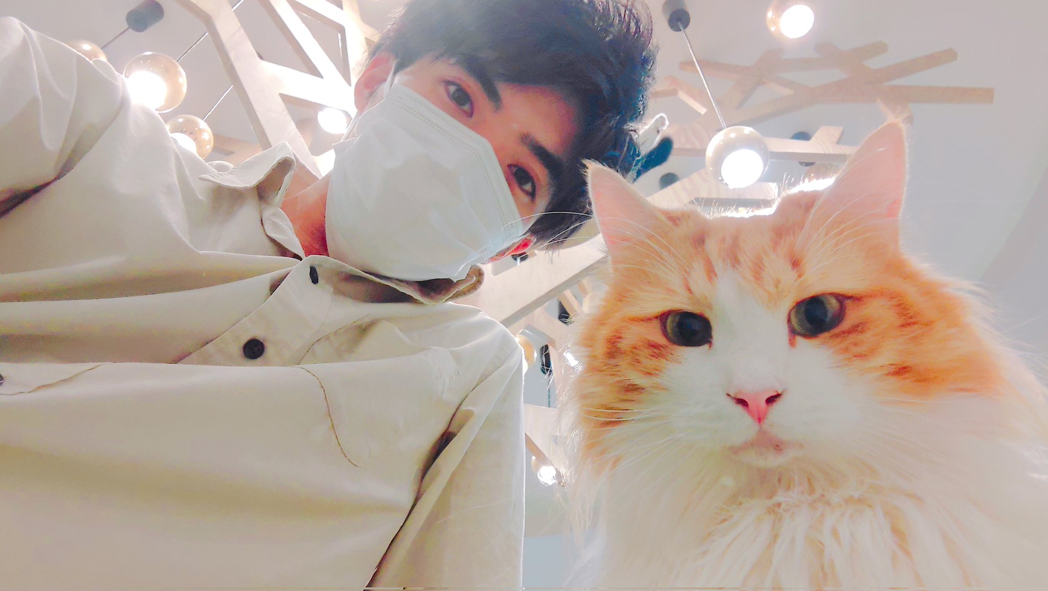 猫カフェ店員 Twitter Search Twitter