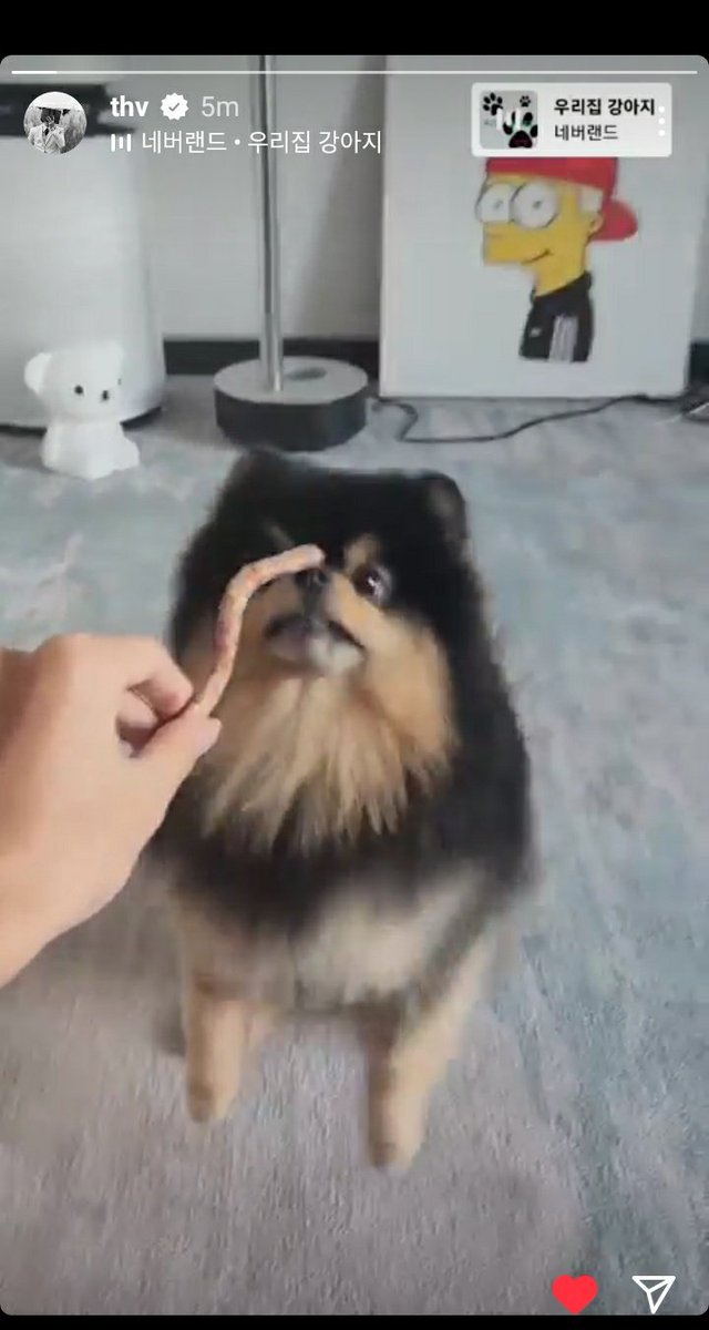 KTH_Streamer's tweet photo. Taehyung came Home with Tannie

https://t.co/6aV2r8HQCX https://t.co/44wRVy2D9Z