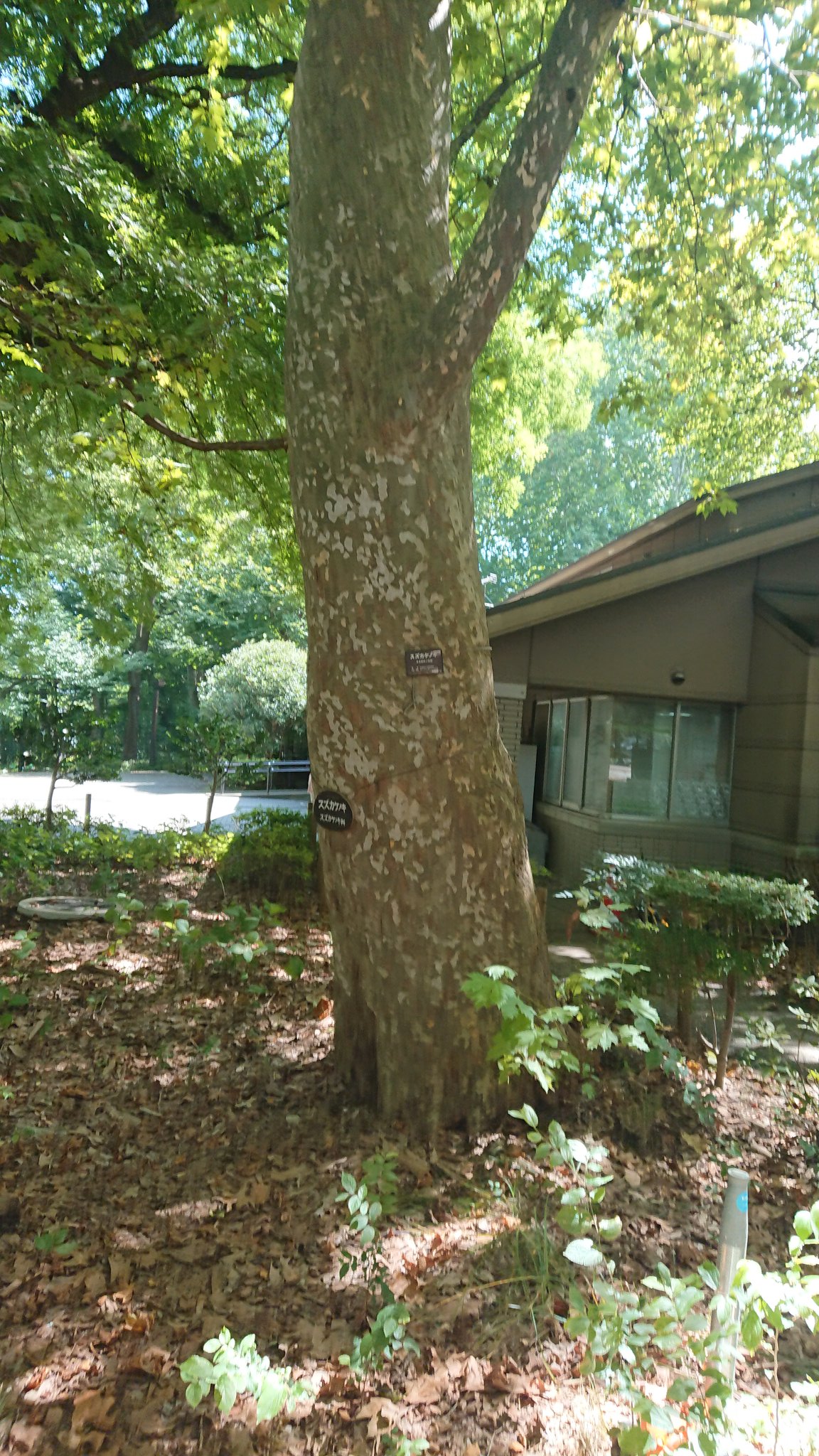 現代俳句 Twitter Search Twitter