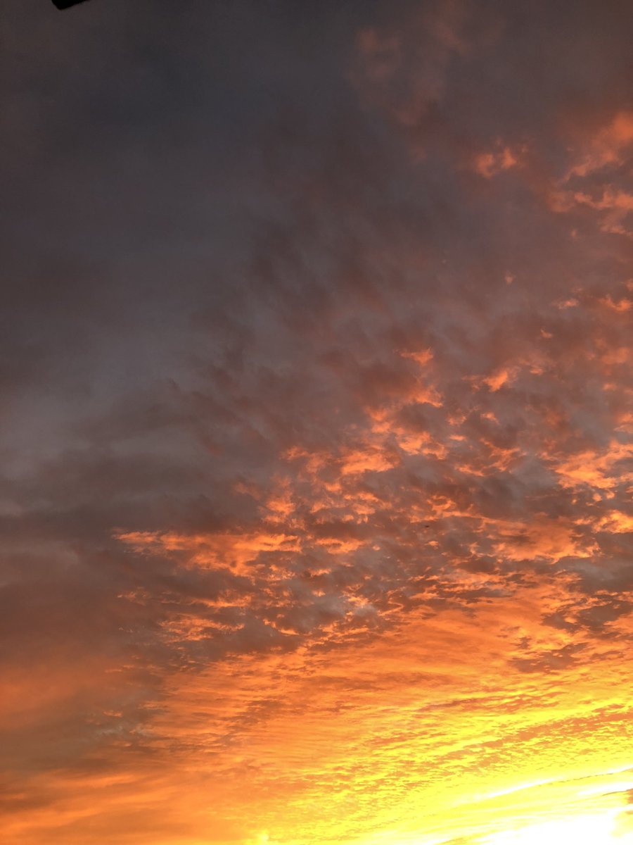 ALONELAVIDA1's tweet photo. 夕暮れ…… https://t.co/Yz9WE7at2R