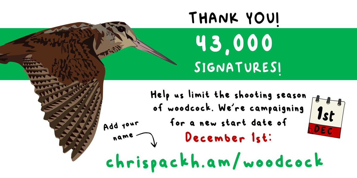 WildJustice_org's tweet image. We've now reached 43,000 signatures on our petition to limit the shooting season for Woodcock. Please do keep signing and sharing! ➡️chrispackh.am/woodcock